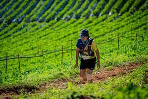 BIB: 3423
                            <button type="button" onclick="openModal(19162188)" class="btn btn-primary btn-sm float-right btn-popup" data-toggle="modal" data-target=".modal-high-quality">
                        <i class="fas fa-shopping-cart"></i> Add to Cart
                    </button>
                                            <button type="button" onclick="isThisMe(19162188, true)" class="btn btn-success btn-sm float-right btn-popup btn-isme hidden" data-toggle="tooltip" data-placement="bottom" title="นี่คือรูปของคุณใช่ไหม คลิกที่นี่เพื่อเอาเข้าอัลบั้ม">
                        <i class="fas fa-plus"></i> Add to album
                    </button>
                    <button type="button" onclick="isThisMe(19162188, false)" class="btn btn-warning btn-sm float-right btn-popup btn-isnotme hidden">
                        <i class="fas fa-ban"></i> Remove from album
                    </button>